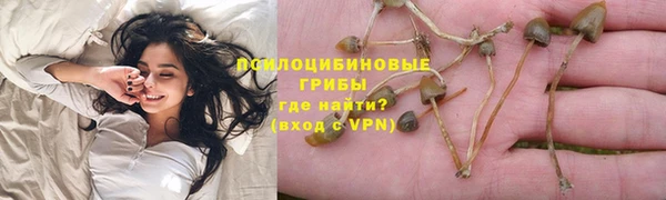 дурь Осташков