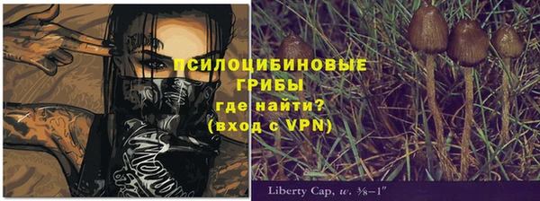 дурь Осташков