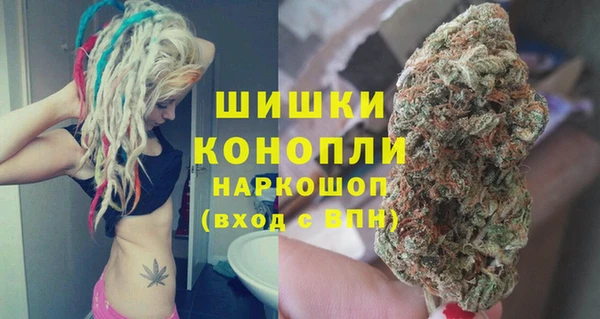дурь Осташков