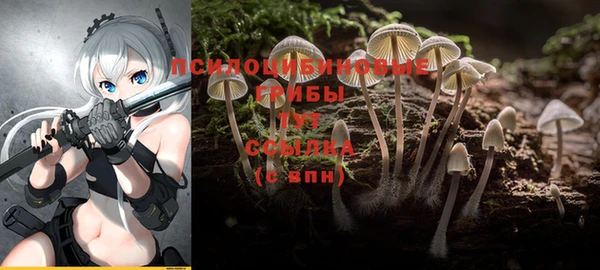 тгк Остров