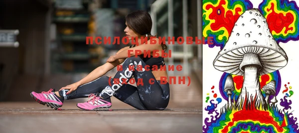 дурь Осташков