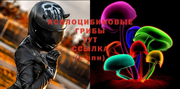 мдпв Осинники