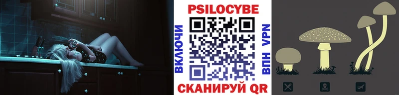 Псилоцибиновые грибы Psilocybe  Луза 