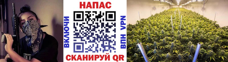 купить закладку Луза МАРИХУАНА планчик